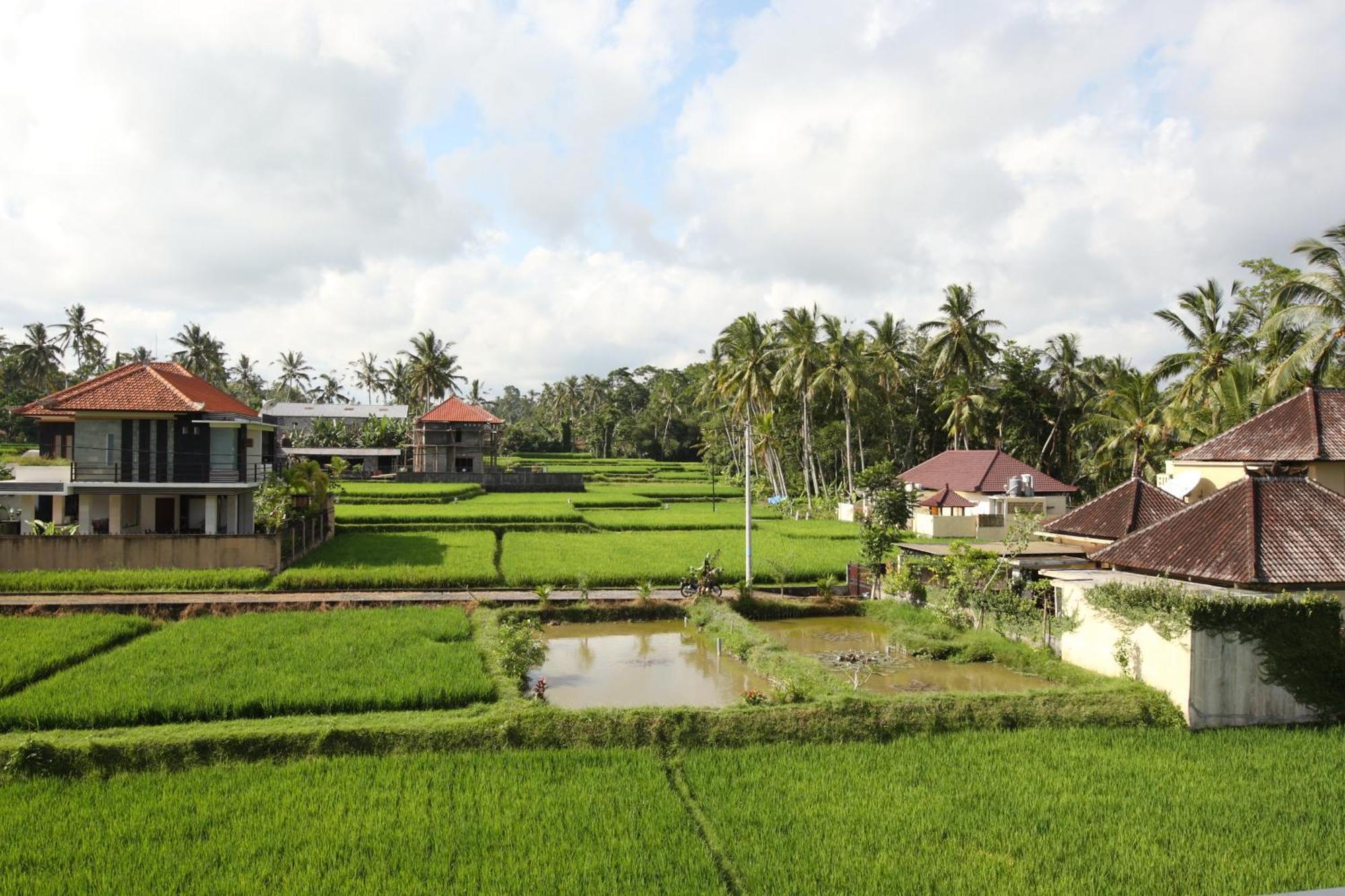 Swarapadi Villa Ubud  Exterior photo
